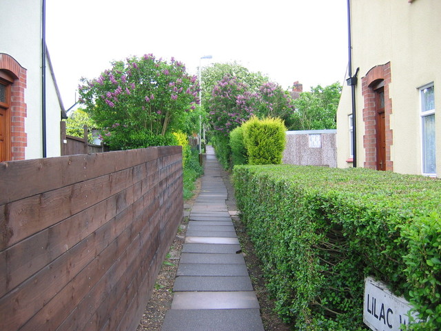 img_0004.jpg